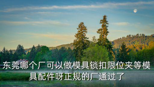 東莞哪個廠可以做模具鎖扣限位夾等模具配件呀正規的廠通過了