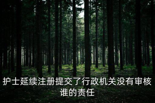 護(hù)士延續(xù)注冊(cè)提交了行政機(jī)關(guān)沒有審核誰的責(zé)任