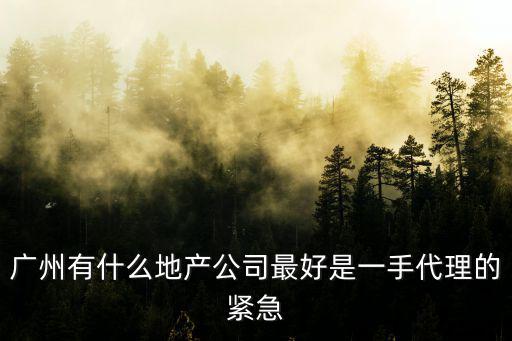 廣州有什么地產公司最好是一手代理的緊急