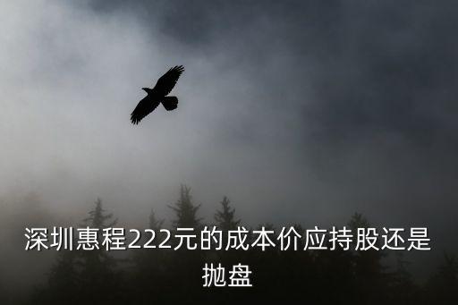 深圳惠程股票，002168深圳惠程為什么股權(quán)出讓會增加業(yè)績而且還連續(xù)減持對