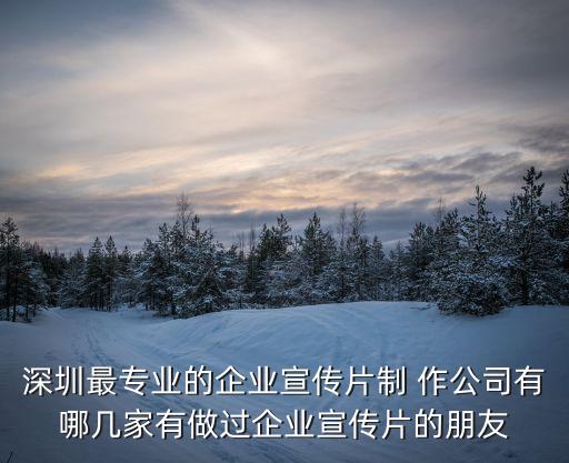 深圳最專業的企業宣傳片制 作公司有哪幾家有做過企業宣傳片的朋友