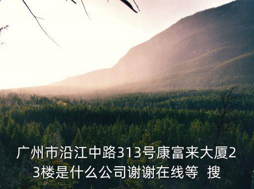 廣州市沿江中路313號康富來大廈23樓是什么公司謝謝在線等  搜
