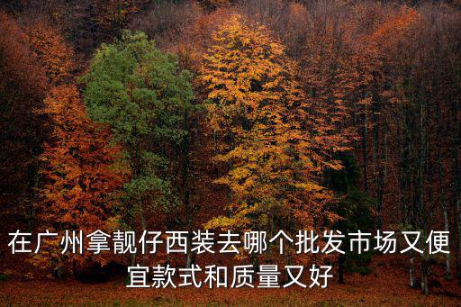 在廣州拿靚仔西裝去哪個批發市場又便宜款式和質量又好