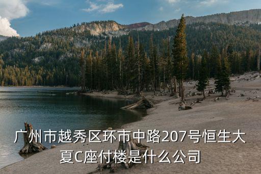 廣州市越秀區(qū)環(huán)市中路207號恒生大夏C座付樓是什么公司