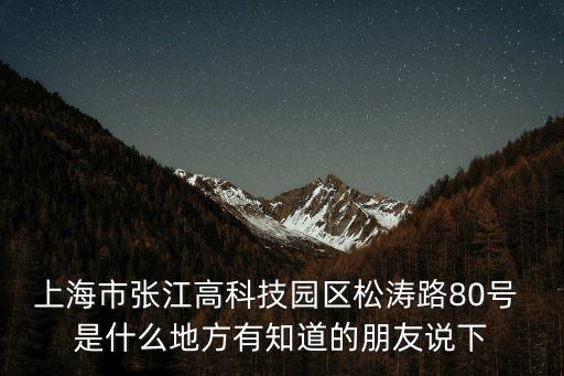 上海市張江高科技園區松濤路80號 是什么地方有知道的朋友說下