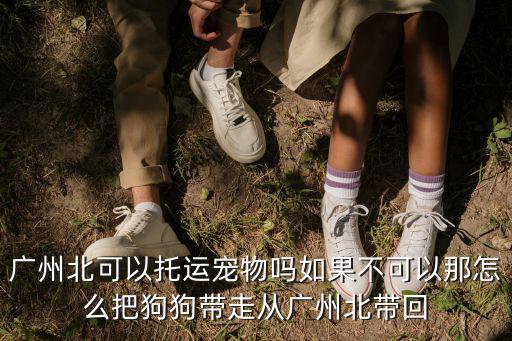 廣州北可以托運寵物嗎如果不可以那怎么把狗狗帶走從廣州北帶回