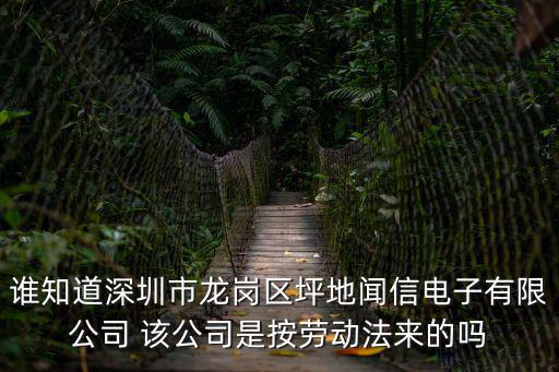 誰知道深圳市龍崗區坪地聞信電子有限公司 該公司是按勞動法來的嗎