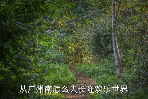 從廣州南怎么去長隆歡樂世界