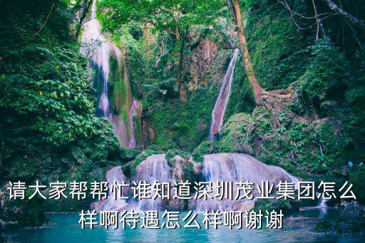請大家幫幫忙誰知道深圳茂業集團怎么樣啊待遇怎么樣啊謝謝