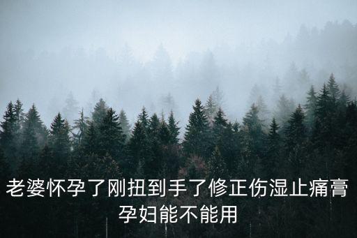 深圳 廖香，老婆懷孕了剛扭到手了修正傷濕止痛膏孕婦能不能用