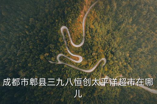 成都市郫縣東大街119號，成都市郫縣三九八恒創太平洋超市在哪兒