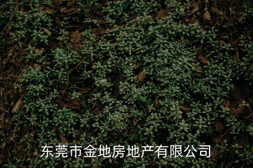 東莞市金地房地產有限公司