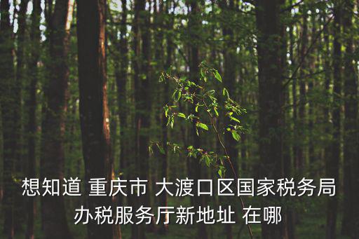 重慶市國稅大渡口區(qū)區(qū)局，大渡口國稅局新搬地址在哪里
