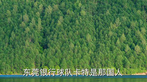 東莞銀行球隊卡特是那國人