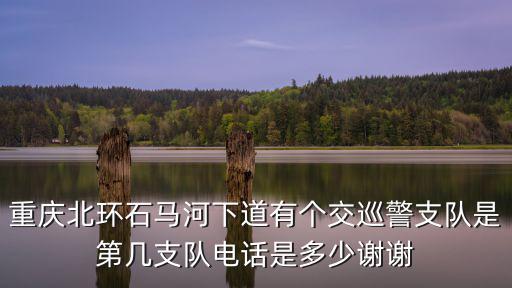 重慶北環(huán)石馬河下道有個(gè)交巡警支隊(duì)是第幾支隊(duì)電話(huà)是多少謝謝