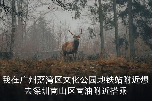 我在廣州荔灣區文化公園地鐵站附近想去深圳南山區南油附近搭乘