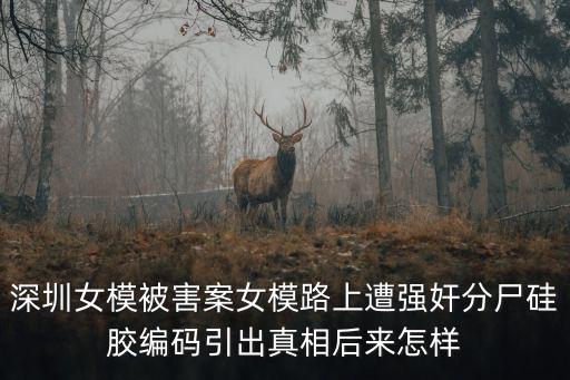 深圳女模被害案女模路上遭強奸分尸硅膠編碼引出真相后來怎樣