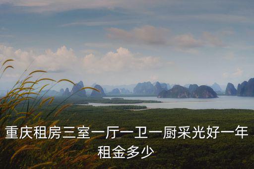 重慶市江北區半山華府租房，重慶江北大石壩附近那里有租房子的