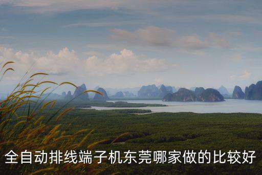 全自動排線端子機東莞哪家做的比較好