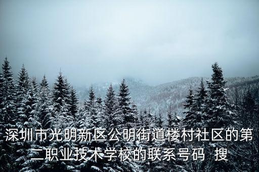 深圳市第二職業技術學校，深圳第二職業學校分部有哪些哪個比較好