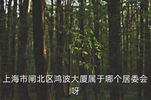 上海市閘北區鴻波大廈屬于哪個居委會呀