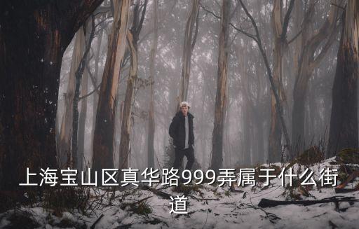 上海寶山區(qū)真華路999弄屬于什么街道