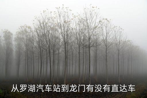 從羅湖汽車站到龍門有沒有直達車