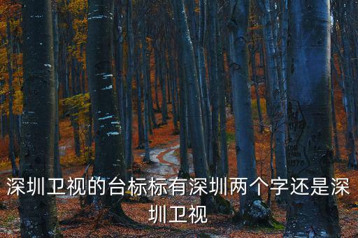 深圳衛視的臺標標有深圳兩個字還是深圳衛視