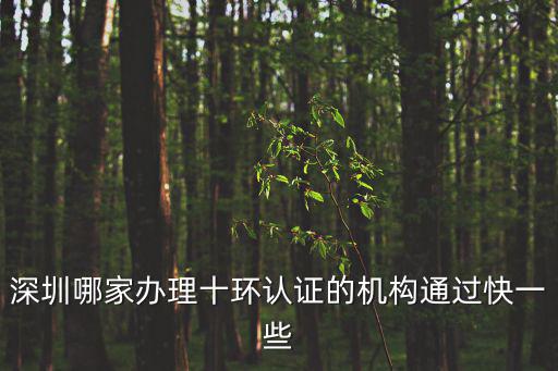 深圳哪家辦理十環認證的機構通過快一些
