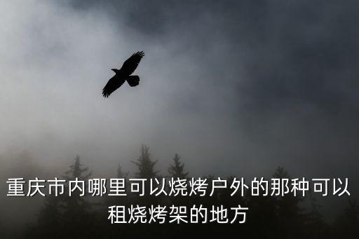 重慶市內哪里可以燒烤戶外的那種可以租燒烤架的地方