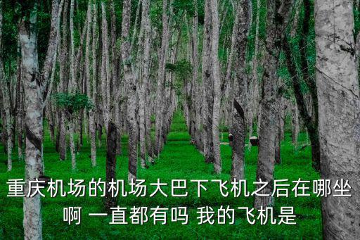 重慶機場的機場大巴下飛機之后在哪坐啊 一直都有嗎 我的飛機是