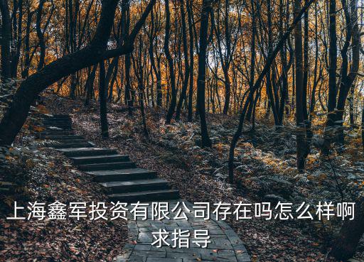 上海市徐匯區江南一村25號8室，上海鑫軍投資有限公司存在嗎怎么樣啊求指導