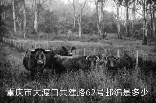 重慶市大渡口共建路62號(hào)郵編是多少