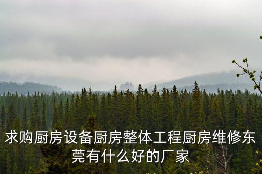 求購廚房設備廚房整體工程廚房維修東莞有什么好的廠家