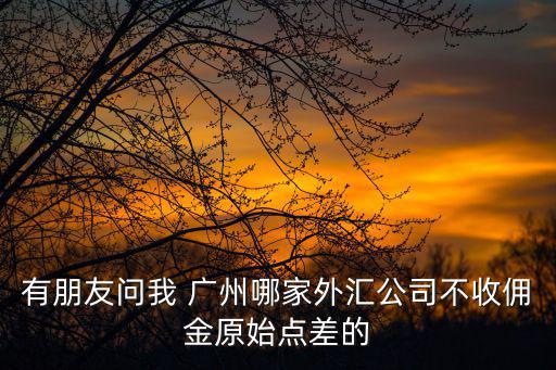 有朋友問我 廣州哪家外匯公司不收傭金原始點差的