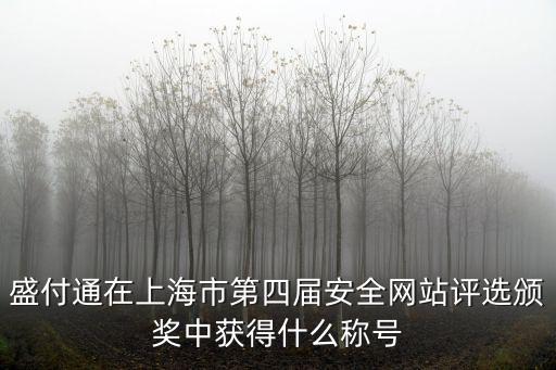 盛付通在上海市第四屆安全網站評選頒獎中獲得什么稱號