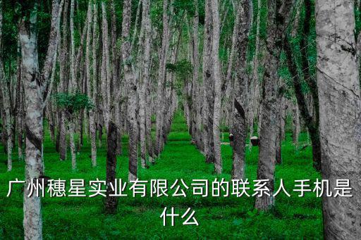 廣州穗星實業有限公司的聯系人手機是什么