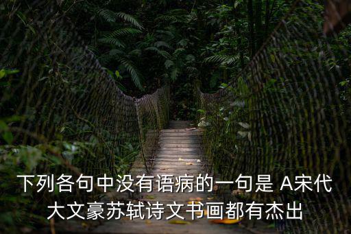 下列各句中沒(méi)有語(yǔ)病的一句是 A宋代大文豪蘇軾詩(shī)文書(shū)畫(huà)都有杰出