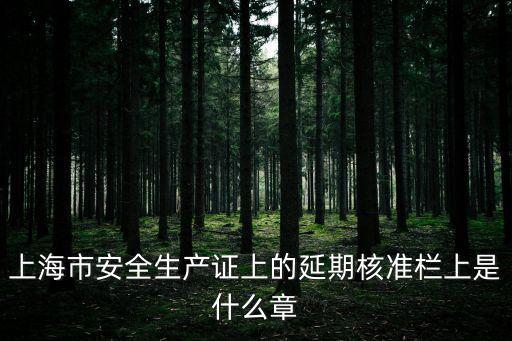 上海市建設安全委員會，上海市建交委和安質監總站是什么關系
