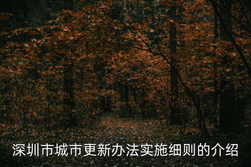 深圳市城市更新辦法實施細(xì)則的介紹