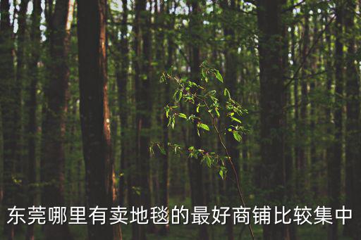 東莞哪里有賣地毯的最好商鋪比較集中