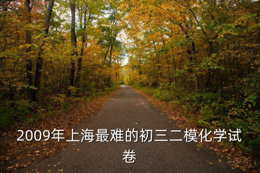 2009年上海最難的初三二模化學試卷