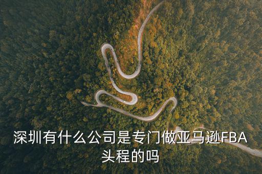 深圳有什么公司是專門做亞馬遜FBA頭程的嗎