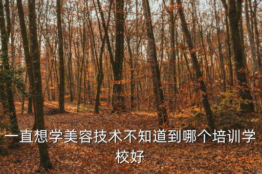 一直想學美容技術不知道到哪個培訓學校好
