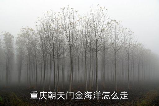 重慶朝天門金海洋怎么走