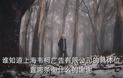 誰知道上海韋柯廣告有限公司的具體位置哪條街什么的謝謝
