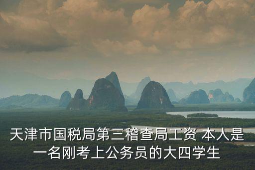 天津市國稅局第三稽查局工資 本人是一名剛考上公務員的大四學生