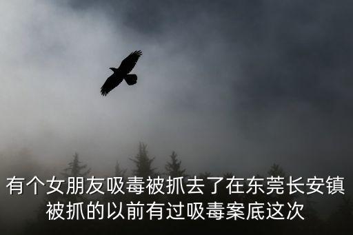 有個(gè)女朋友吸毒被抓去了在東莞長(zhǎng)安鎮(zhèn)被抓的以前有過(guò)吸毒案底這次