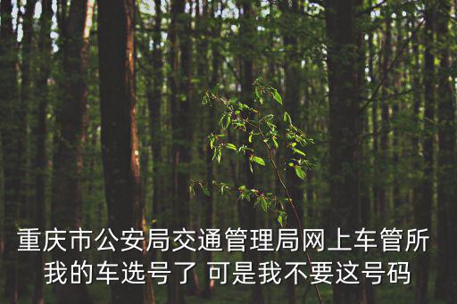 重慶市公安局交通管理局網上車管所 我的車選號了 可是我不要這號碼