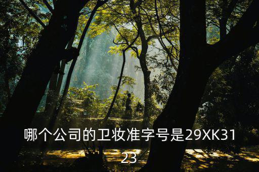 廣州市漢邦化妝品有限公司，哪個公司的衛(wèi)妝準(zhǔn)字號是29XK3123